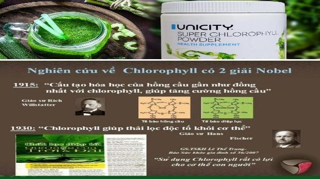 Bột diệp lục Unicity có tốt không.