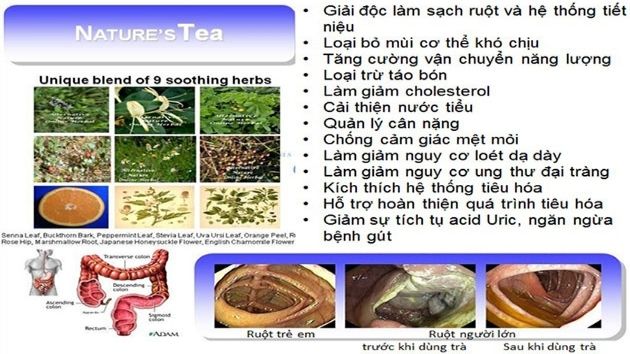 công dụng của trà thải độc ruột Nature's Tea Unicity