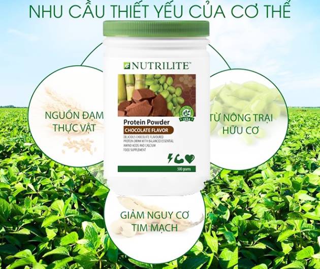 Lý do nên dùng Nutrilite Protein