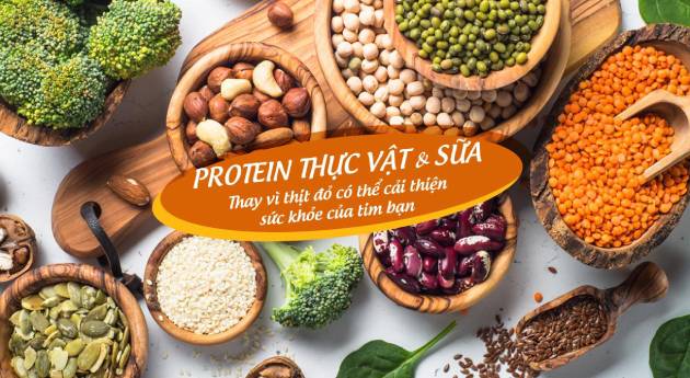 Protein từ thực vật có tốt không