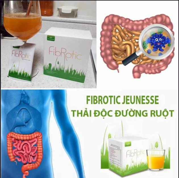 Tổng quan về Fibrotic