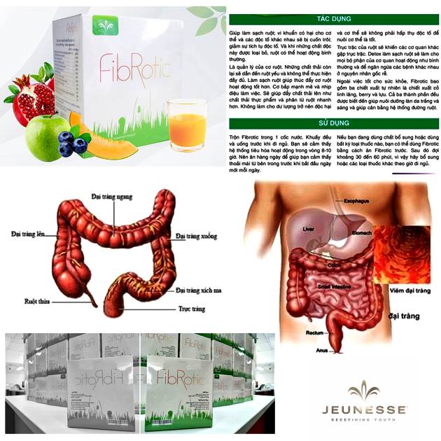 Review Fibrotic Jeunesse