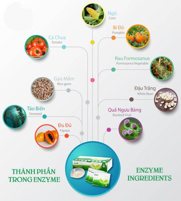 Thành phần có trong Well3 Life Enzyme