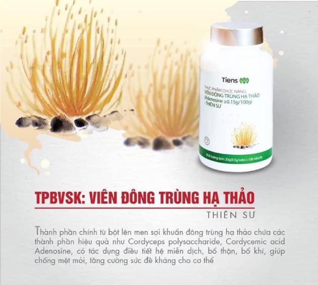 Thành phần có trong sản phẩm Đông trùng hạ thảo Thiên sư