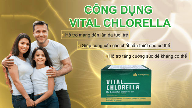 Lợi ích của bột tảo lục Vital Chlorella