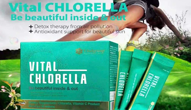 Tại sao nên sử dụng Vital Chlorella