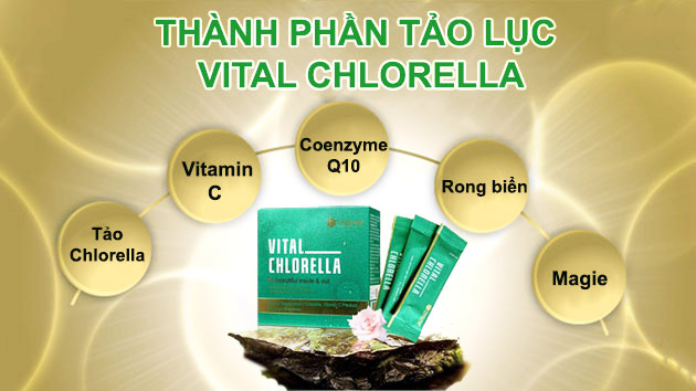 Thành phần có trong tảo lục Vital Chlorella