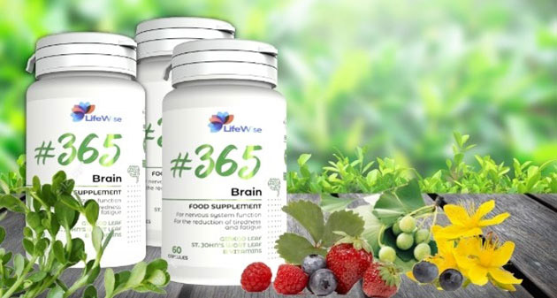 LifeWise 365 Brain có lừa đảo không